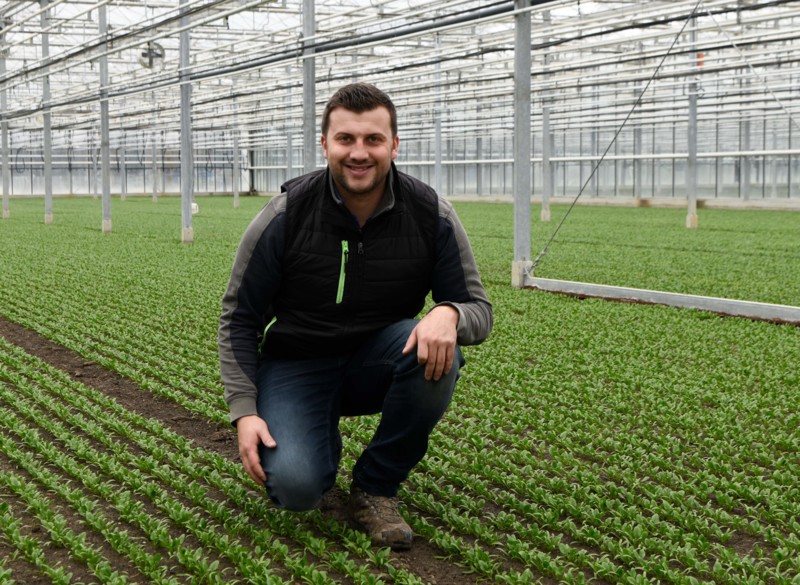 BIO Zwiebeln von Häberli BIO